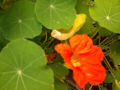 20210810_173431.jpg