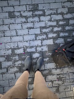 983B2E08-8645-47E5-8D93-35F23E90A76B.jpeg