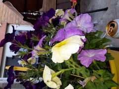 20210811_184324.jpg