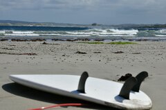 IMG-20160918-WA0006.jpg