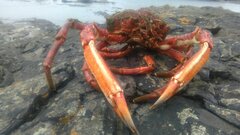 IMG-20180527-WA0023.jpg
