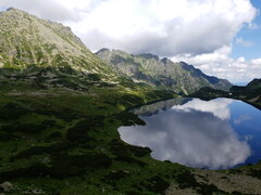 20190725_121911.jpg