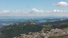 IMG_20160807_105857.jpg