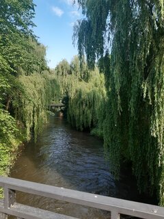 20210707_084328.jpg