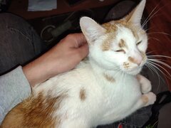 IMG_20210805_192859.jpg
