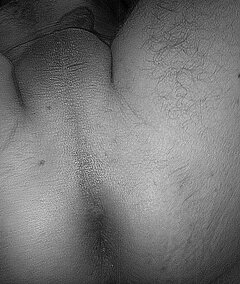 DSC02474-crop.JPG