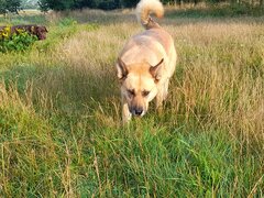 20210813_065655.jpg