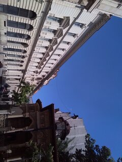 IMG_20210814_143349.jpg