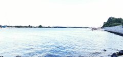 IMG_20210815_170949.jpg