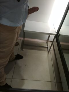 IMG_20210817_131210.jpg