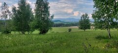 20210607_112733.jpg