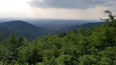 20210608_172203.jpg