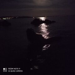 IMG_20210820_213005.jpg