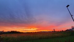 20210802_202131.jpg