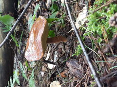 20210821_082607.jpg