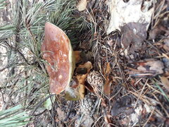 20210821_090204.jpg
