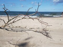 IMG20210821112634.jpg