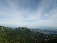 IMG_20210813_083455.jpg