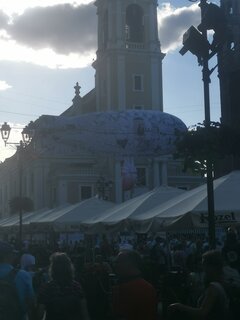 IMG_20210815_174446.jpg