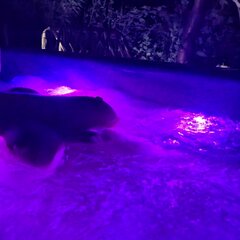 20210817_204900.jpg