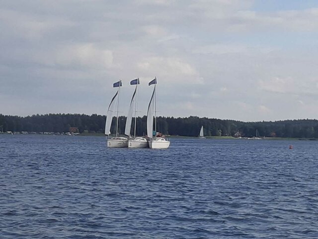 zielonoannaion10