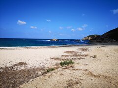 IMG_20210823_142853.jpg