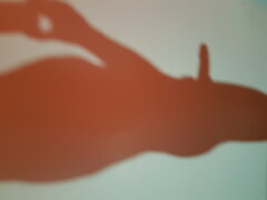 20200814_003856.jpg
