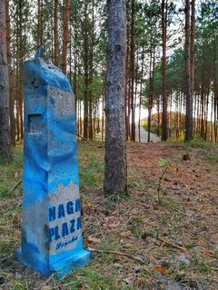 IMG_20210826_185947-01.jpeg