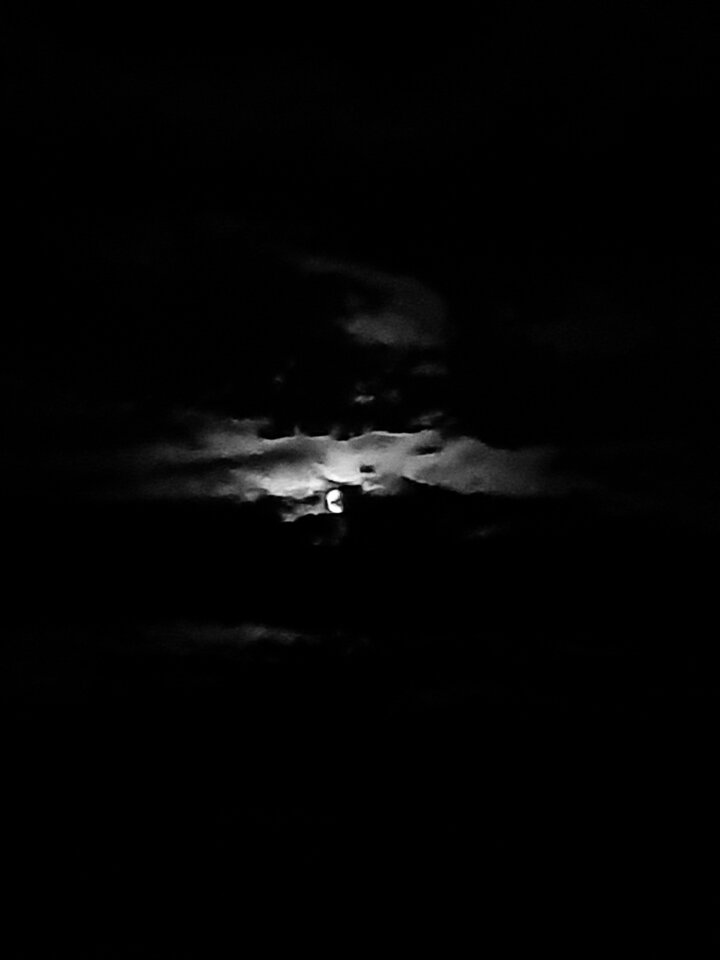 20210826_223541.jpg - dino8
