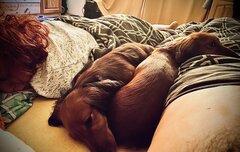 8F4794C3-C6BC-4484-B8F3-3B0532AE9B17.jpeg