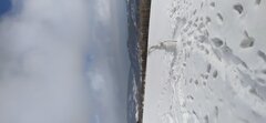 IMG_20210125_120412.jpg