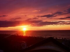 IMG_20210820_195323.jpg