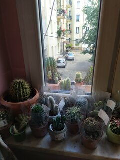 IMG_20210826_171755.jpg