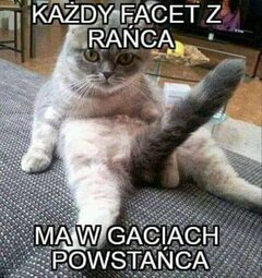 FB_IMG_1603380870418.jpg
