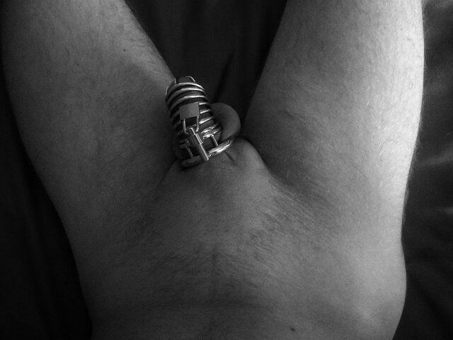 Freed_