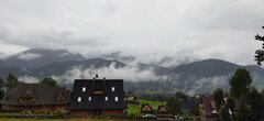 IMG_20210829_103024.jpg