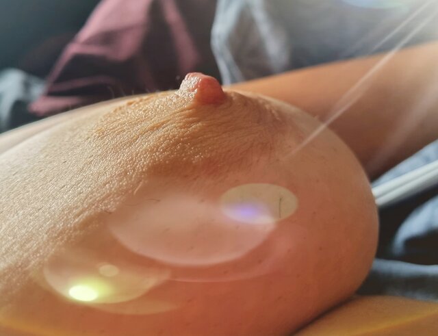 DonnaMarito3