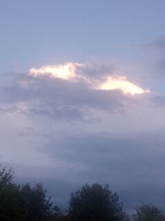 IMG_20210728_200955_757.jpg