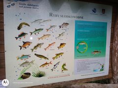 IMG_20210830_182520144.jpg