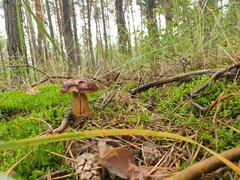 20210901_122519.jpg