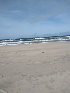 IMG_20210901_125234673.jpg