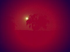 20210621_234029.jpg