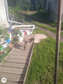 IMG_20210902_160303166.jpg