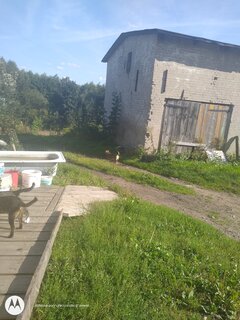 IMG_20210902_160312392.jpg