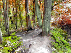 IMG_20210724_162353.jpg