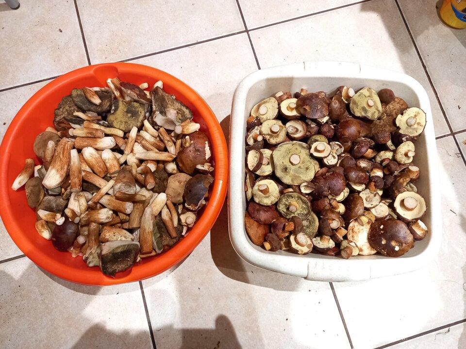 20210904_172820.jpg - Men____med