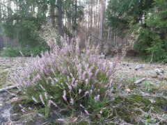20210904_181630.jpg