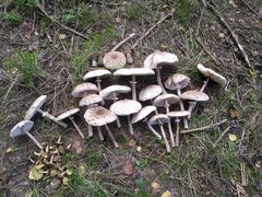 IMG_20210904_182300.jpg