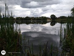 IMG_20210904_122013509.jpg