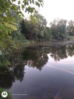 IMG_20210903_192228718.jpg